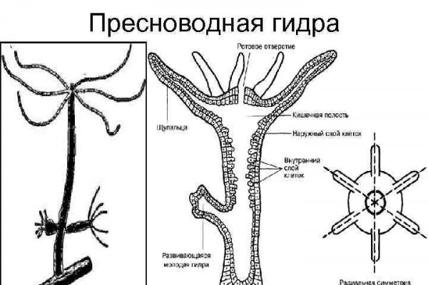 Кракен даркнет ссылка для тор