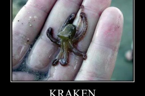 Kraken 18at зеркало