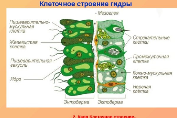 Кракен даркнет ссылка для тор