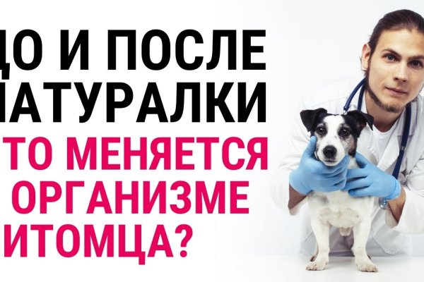 Кракен наркологический